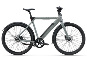 Raleigh One - 360 Wh Heren - Sage Grey