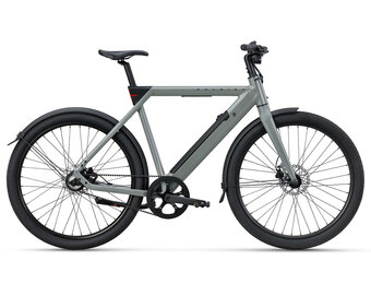 Raleigh One - 360 Wh Heren - Sage Grey