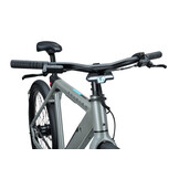 Raleigh One - 360 Wh Heren - Sage Grey