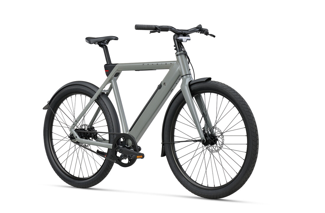 Raleigh One - 360 Wh Heren - Sage Grey