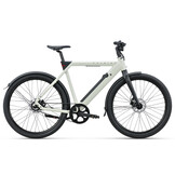 Raleigh One - 360 Wh Heren - Off White