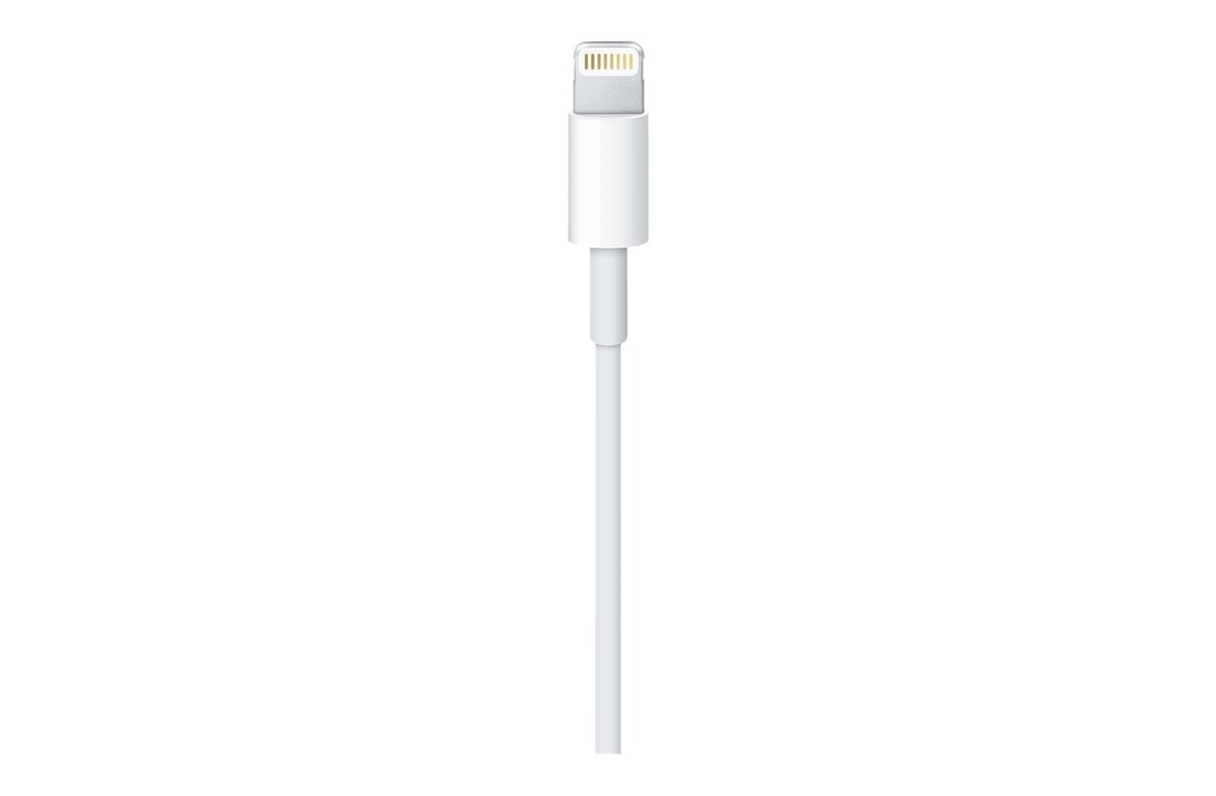 Apple Lightning to USB Cable 1 Meter