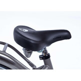 Alpina Clubb meisjesfiets 26 inch Vintage Gold Matt R3