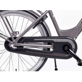 Alpina Clubb meisjesfiets 26 inch Vintage Gold Matt R3