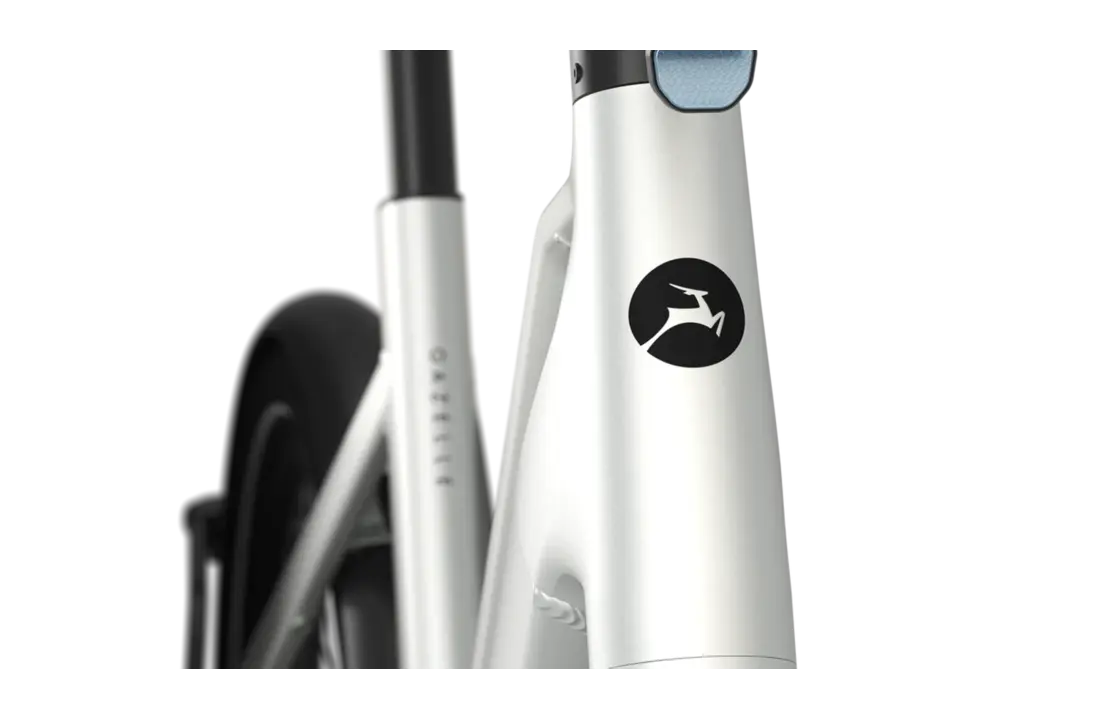 Gazelle Cayo C310 SE - 430 Wh Dames - Pebble Grey (mat)