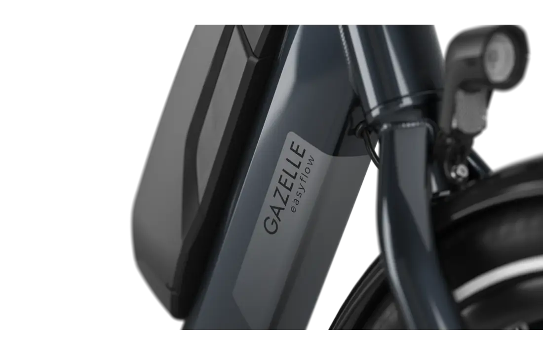 Gazelle Easyflow C8 HMS  418W Dames  - anthracite grey (glans).