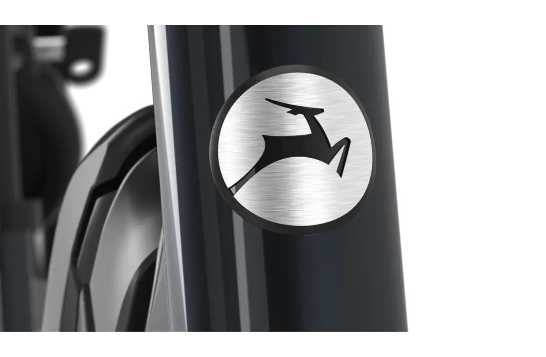 Gazelle Easyflow C8 HMS  418W Dames  - anthracite grey (glans).