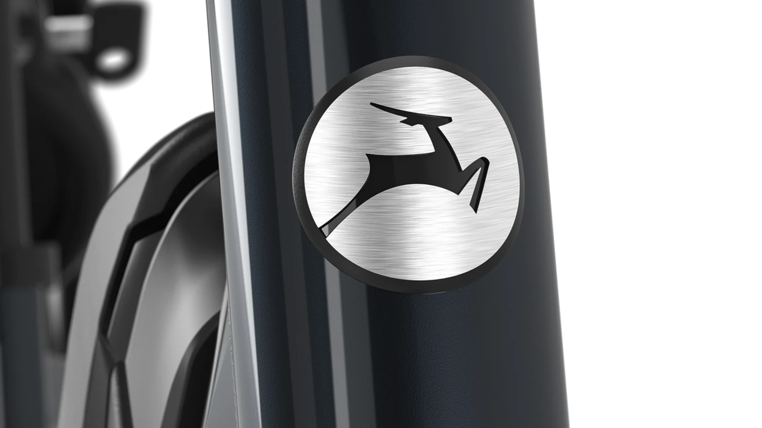 Gazelle Easyflow C8 HMS  418W Dames  - anthracite grey (glans).