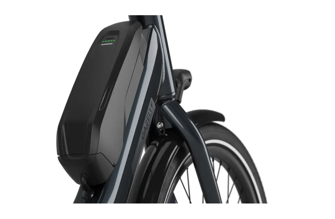 Gazelle Easyflow C8 HMS  418W Dames  - anthracite grey (glans).