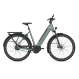 Gazelle Ultimate C380 HMB Dames SE - Dew Green (mat)