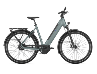 Gazelle Ultimate C380 HMB Dames SE - Dew Green (mat)