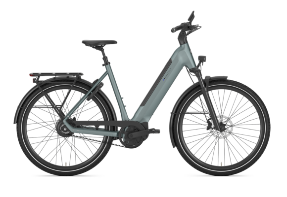 Gazelle Ultimate C380 HMB Dames SE - Dew Green (mat)