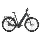 Gazelle Ultimate C380 HMB Dames SE - Teal Grey (mat)