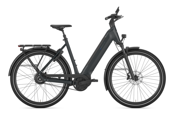 Gazelle Ultimate C380 HMB Dames SE - Teal Grey (mat)