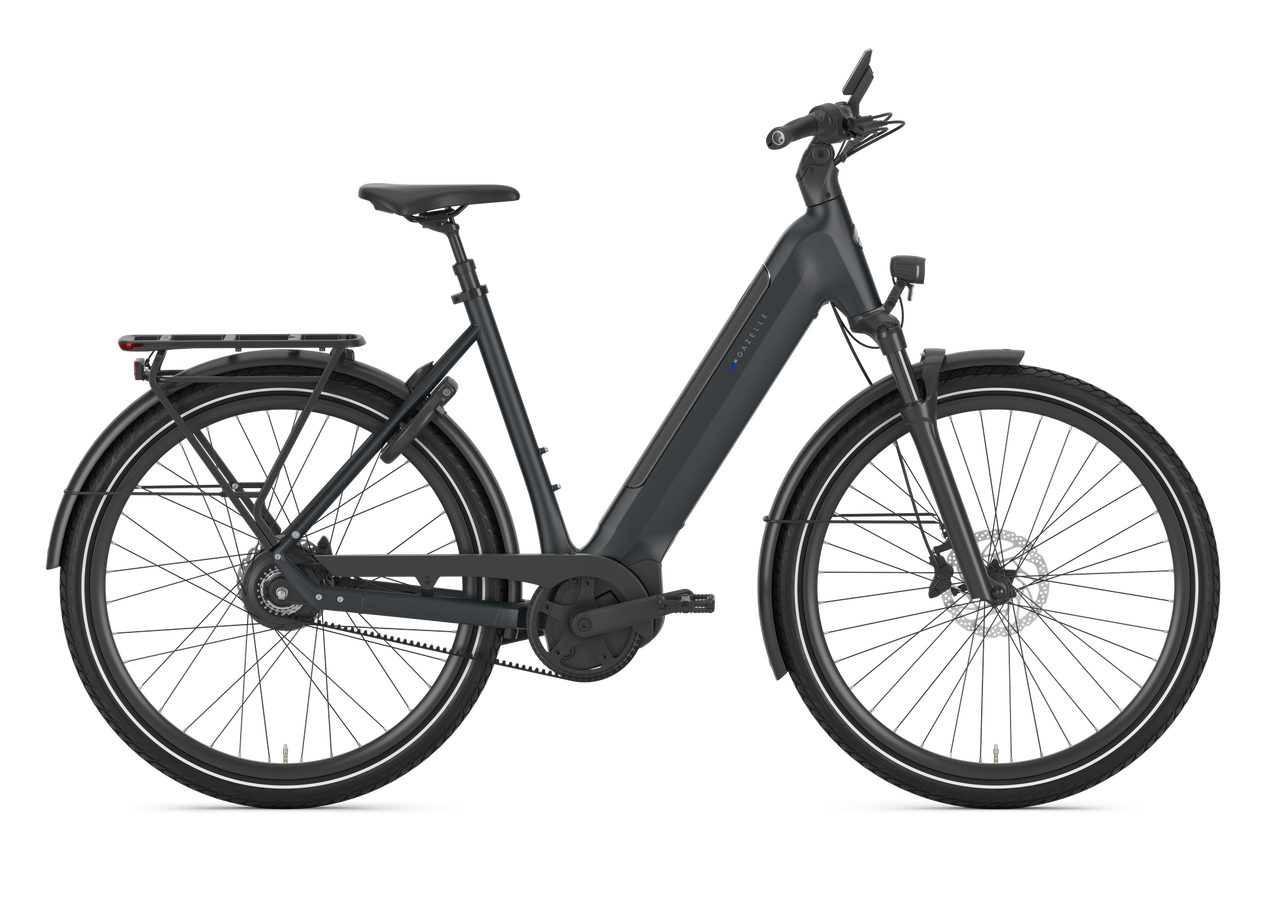 Gazelle Ultimate C380 HMB Dames SE - Teal Grey (mat)