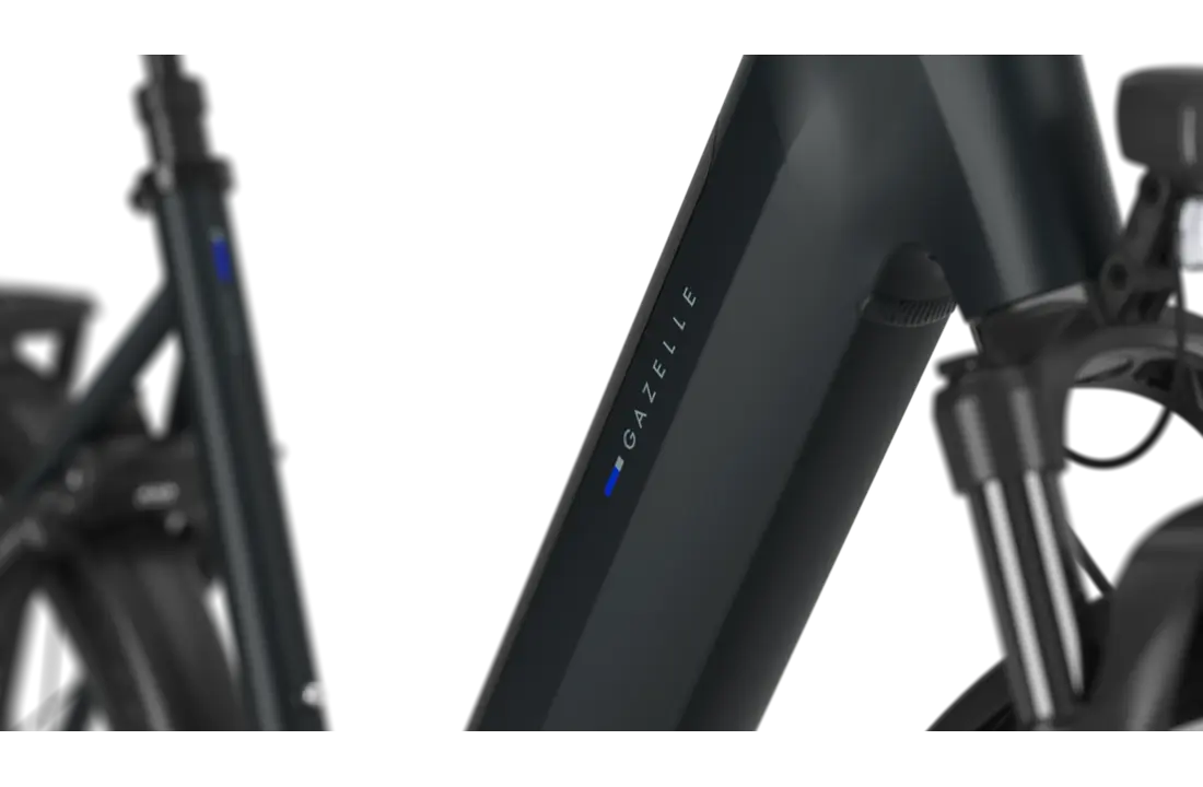 Gazelle Ultimate C380 HMB Dames SE - Teal Grey (mat)