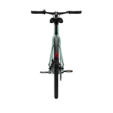 Tenways CGO600 Pro E-bike - 360 Wh Heren - Mint Green