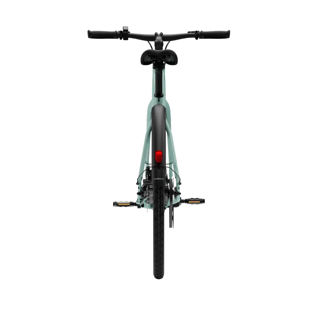 Tenways CGO600 Pro E-bike - 360 Wh Heren - Mint Green
