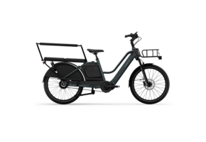 Tenways Longtail DUO E-bike - 720 Wh Dames