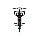 Tenways Longtail DUO E-bike - 720 Wh Dames