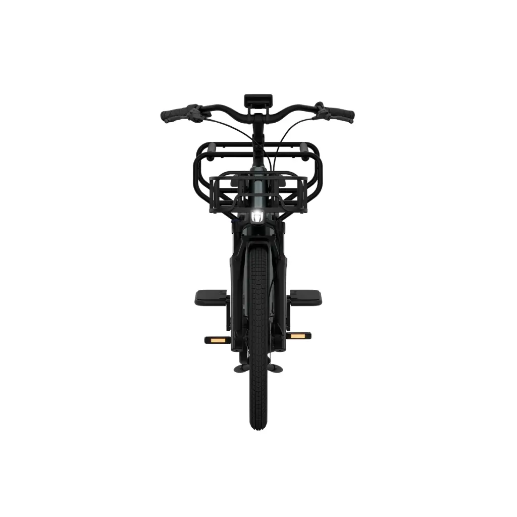Tenways Longtail DUO E-bike - 720 Wh Dames