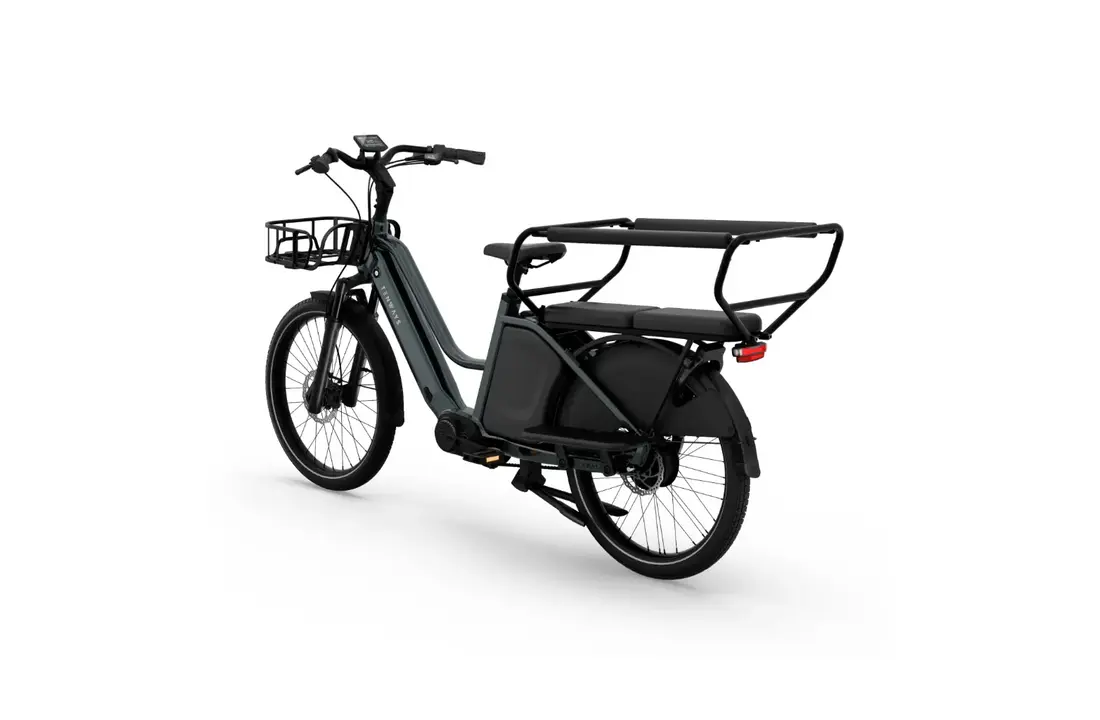 Tenways Longtail DUO E-bike - 720 Wh Dames