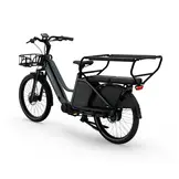 Tenways Longtail DUO Ebike - 720 Wh Dames