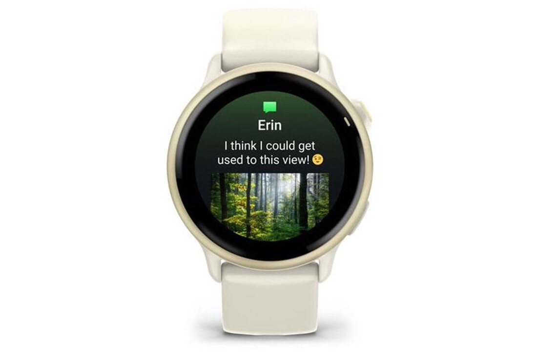 Garmin Vivoactive 6 Lunar Gold - Smartwatch