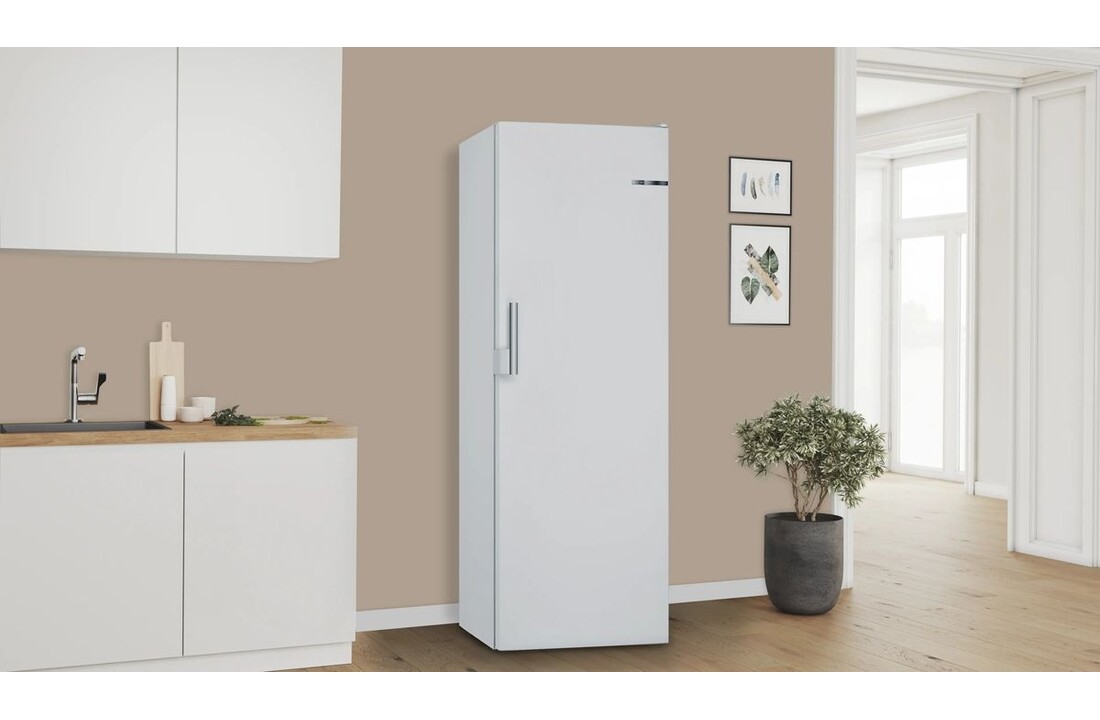 Bosch GSN29VWEP Serie 4 - Vrieskast