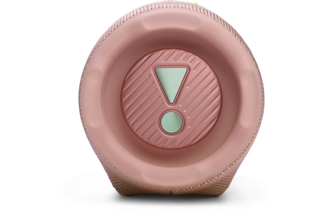JBL Charge 6 Roze - Draadloze speaker