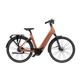 Vyber XCITEMNT 520 Wh Dames - Electric Peach