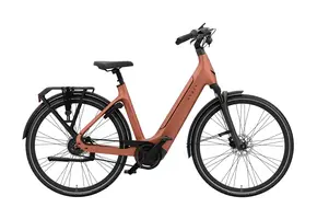 Vyber XCITEMNT 520 Wh Dames - Electric Peach