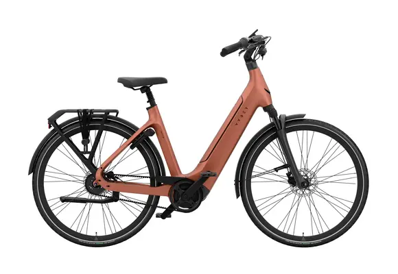 Vyber XCITEMNT 520 Wh Dames - Electric Peach