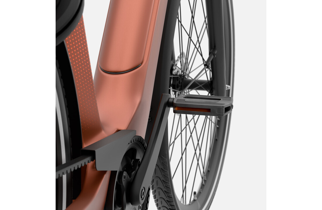 Vyber XCITEMNT 520 Wh Dames - Electric Peach