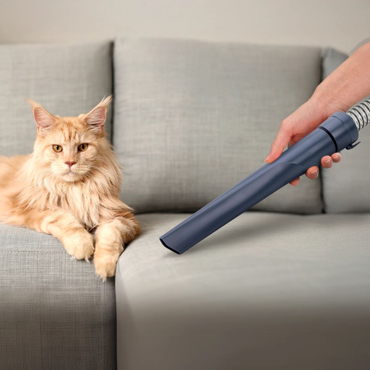 Ufesa PetBuddy Groom