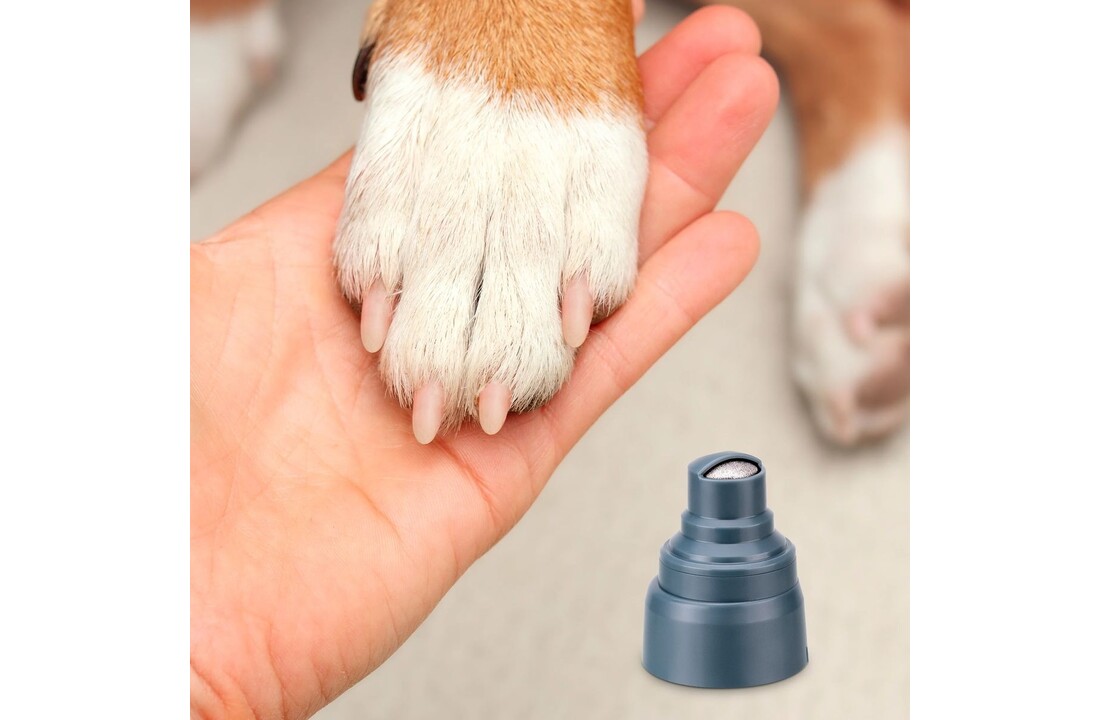 Ufesa PetBuddy Groom