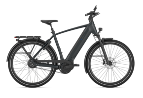 Gazelle Ultimate C380 HMB heren SE - Teal Grey (mat)