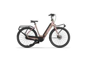 Cortina E-Common Family Integrated DB7 AL+ MM - Dames - Mocha Mousse Gloss