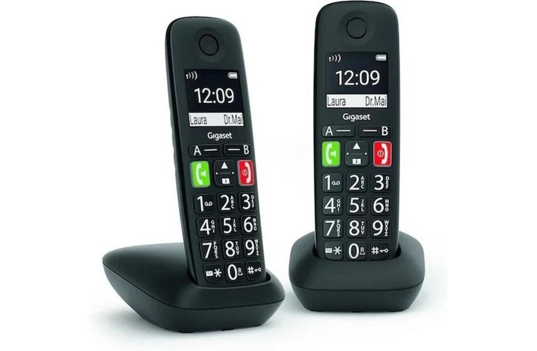Gigaset E290R Duo - Dect telefoon