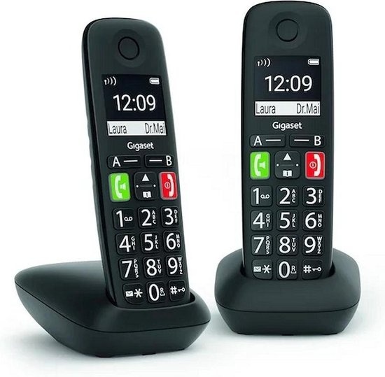 Gigaset E290R Duo - Dect telefoon