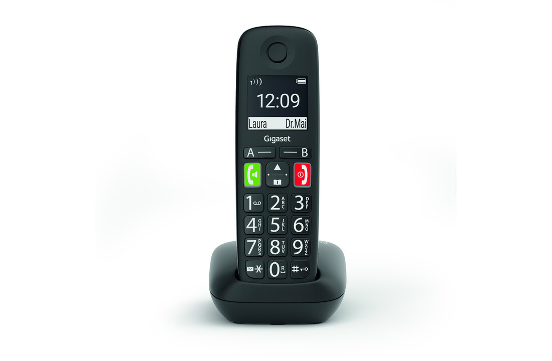 Gigaset E290R Duo - Dect telefoon