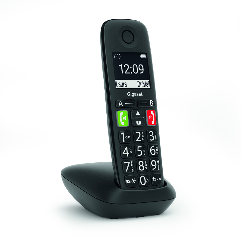 Gigaset E290R Duo - Dect telefoon