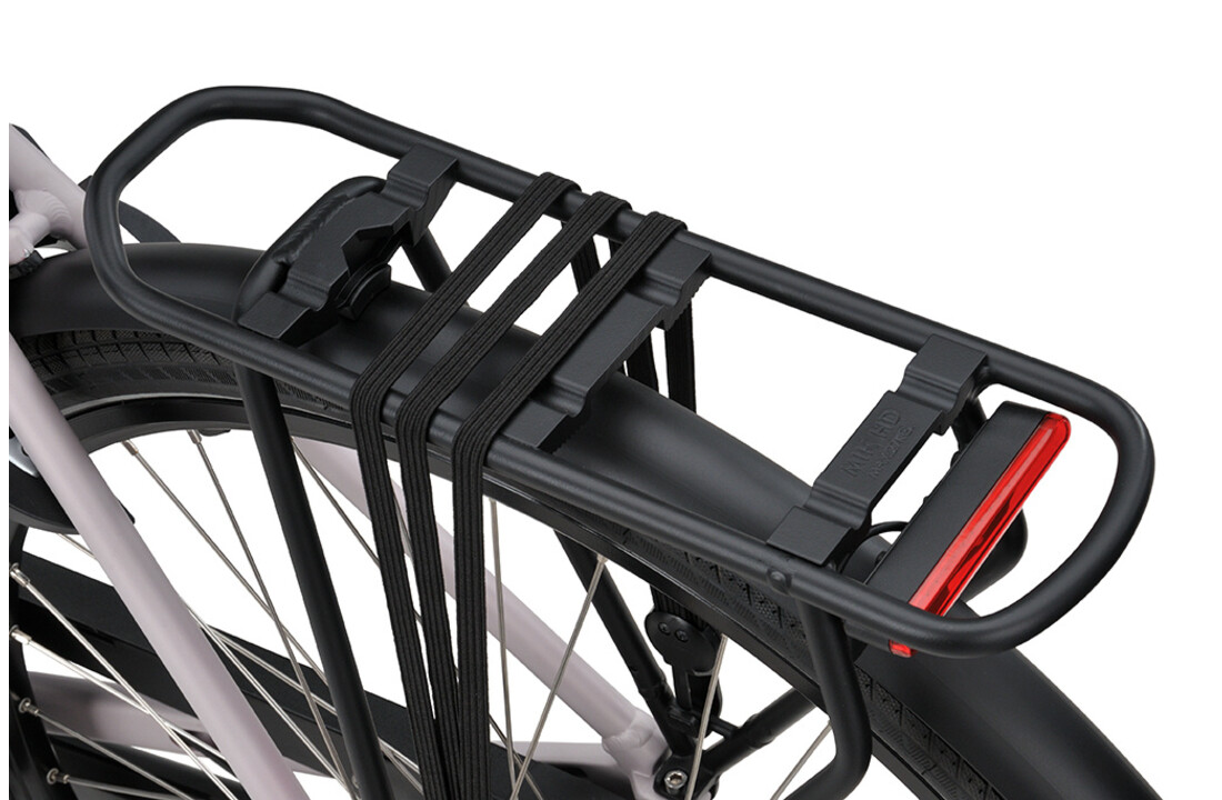 Batavus Fonk DN3 dames - Light Silver matt