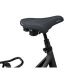 Batavus Altura PT 500Wh Dames 7 - Smokingblack matt