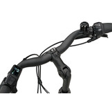 Batavus Altura CP 400Wh Dames 7 - Light Sea Green matt