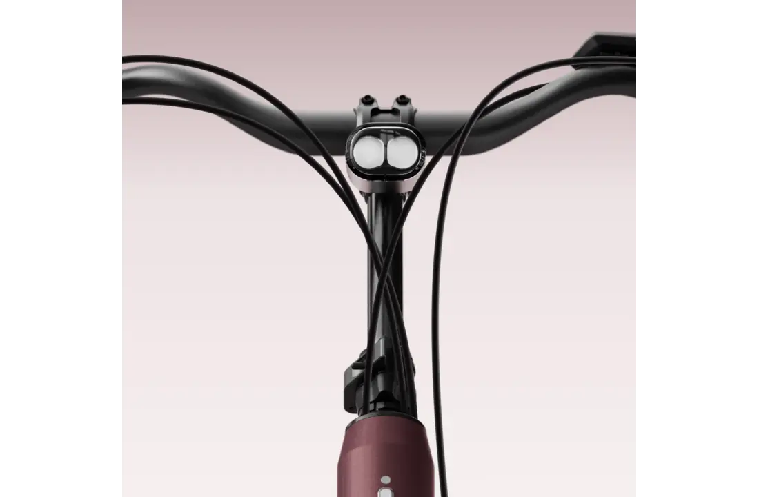 Tenways AGO Compact Performace 545 Wh E-bike - Autumn Red