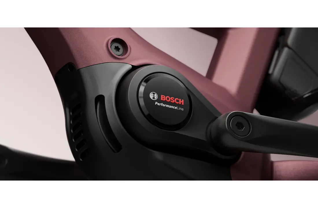 Tenways AGO Compact Performace 545 Wh E-bike - Autumn Red