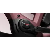 Tenways AGO Compact Performace 545 Wh E-bike - Autumn Red