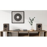 WiiM Amp Grijs - Versterker