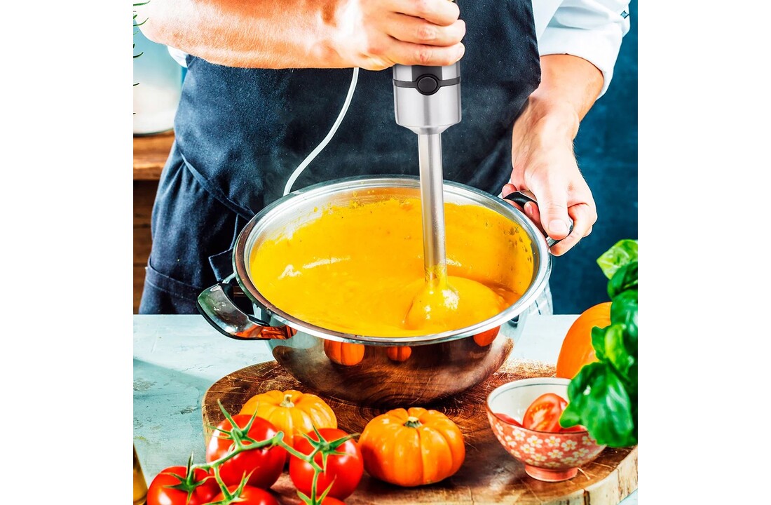 Ufesa Eclipse - Staafmixer